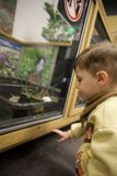 Captured Curiosity at the Lawrence Hall of Science