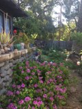 Garden Oasis