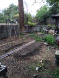 Backyard Oasis