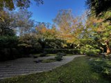 Tranquility in Golden Gate Park