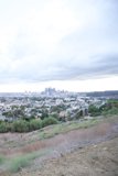 Overlooking the Urban Jungle
