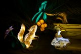 Luminescent Companions at Glowfari Oakland Zoo