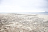 Serenity on the Shoreline