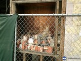 Brick Fence and Sign
