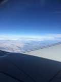 Sky high adventure
