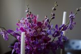 Purple Paradise
