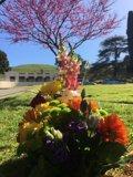 A Colorful Bouquet on the Meadow