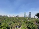 Overlooking the Urban Metropolis