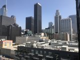 Urban Jungle