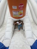Joyful Adventure at Excite Ballpark
