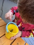 Curious Discoveries