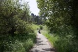 Strolling Through Nature's Embrace
