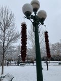 Red Pepper Street Light