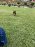 A Day in the Park