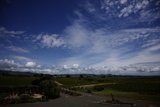 Breathtaking Vineyard Views from Above
