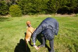 Playing with Man's Best Friend in the Park