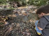 Childhood Curiosity by the Creek
