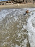 Running Free