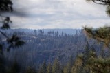 Smoke and Haze Over Fire-Scarred Sierra Nevada Forest
