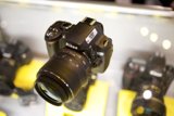 Nikon D7000 Camera Review