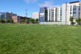 Serenity in the City
