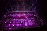 Purple Dreams on the Stage