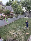 Backyard Bubble Joy