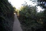 A Picturesque Garden Path