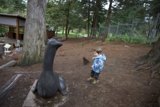 A Boy's Adventure in The Groves of Science