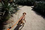 A Stroll Down Monterey: Hi-Li's 2024 Adventure