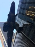 T-Rex Takes on the Metropolis