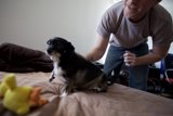 Man and his loyal pup take a nap