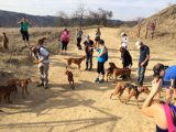 Dogs and Their Humans