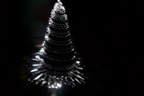 Lighting Up the Festive Fir