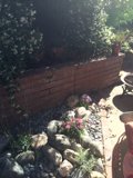 A Garden Wall Oasis