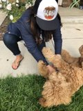 Woman and Her Poodle enjoying the outdoors