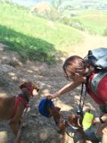 Adventures on the Trail