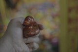 The Little Toy Duck