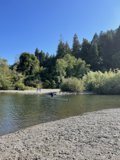 Swimming in Russian River