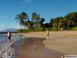 Fun in the Sun on a Hawaiian Beach