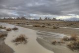 Desert Oasis