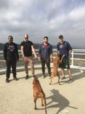 A Day Out with the Pooches