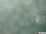 Ambient Cooling