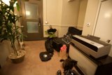 Feline Office Assistant