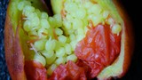 Unripe Pomegranate Seeds in Stunning Macro Detail