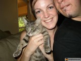 Feline Friends