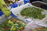 Fresh Green Peppers