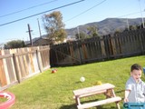 Playing in a Backyard Paradise