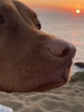 Basking in the Sunrise