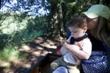 Tranquil Moments in Tilden Park